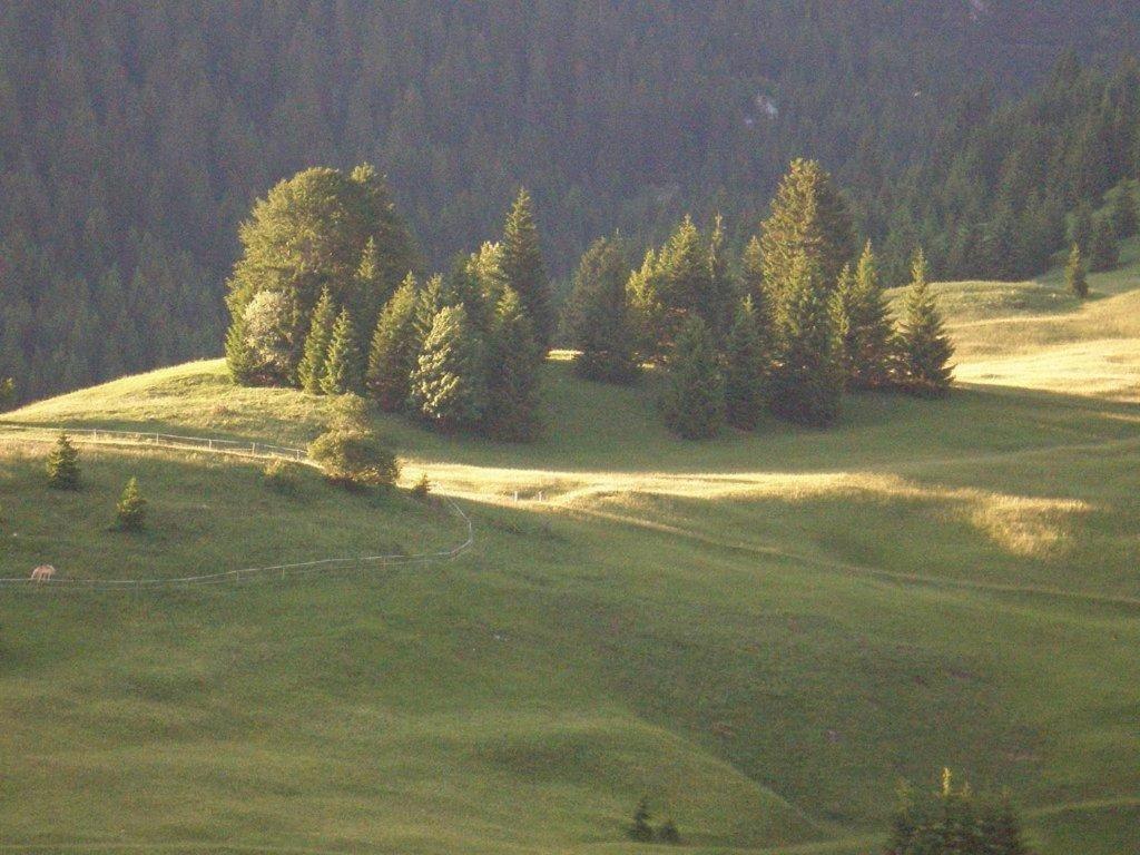 Alpenhof "Alt Laehn" Hotel Kültér fotó